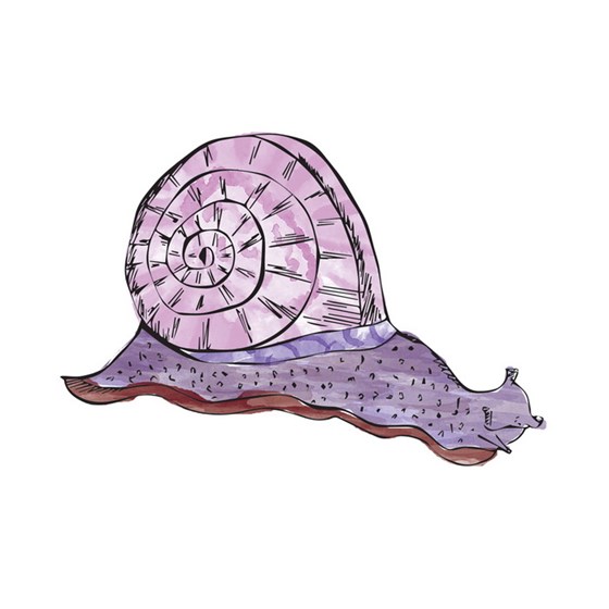 Illustrations: Snail watercolor